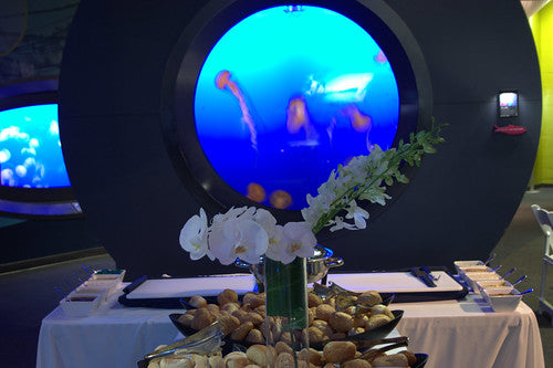 Jaw dropping backdrop at the Vancouver Aquarium