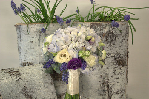 Feature Flower – Blue Hydrangea