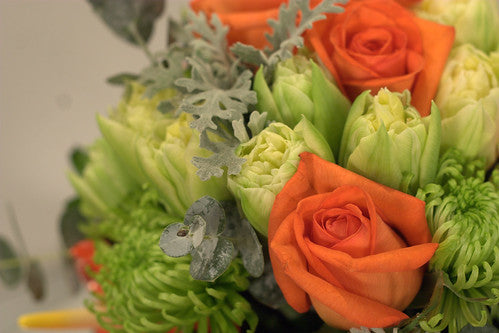 Think Outside the Box-Bold Colour Combinations!