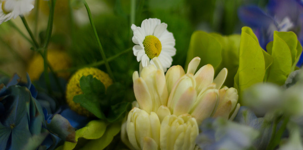 Elegant Brock House Wedding