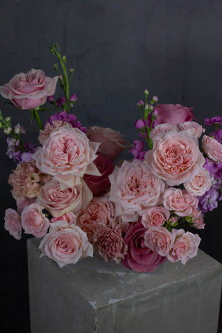 The Cosmopolitan Arrangement
