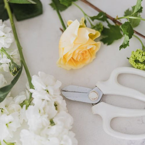 Private Floral Design Workshop